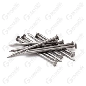 Clavos para Madera con Cabeza Punta Paris 3" x 9