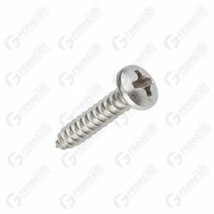 Tornillo Autorroscante Estría Cabeza Pan 8 X 1″