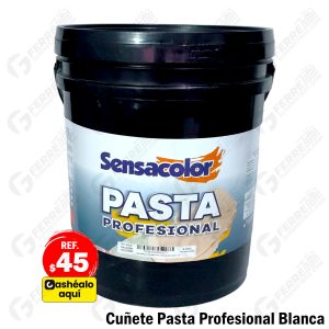Pasta Profesional Blanca para Paredes Cuñete SENSACOLOR