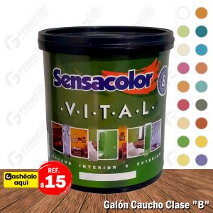 Pintura de Caucho Clase B en Galón VITAL SENSACOLOR
