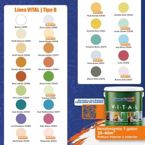 Pintura de Caucho Mate VITAL Clase B SENSACOLOR