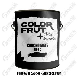 Pintura de Caucho Mate COLOR FRUT