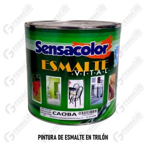 Pintura de Esmalte (Aceite) en Trilón
